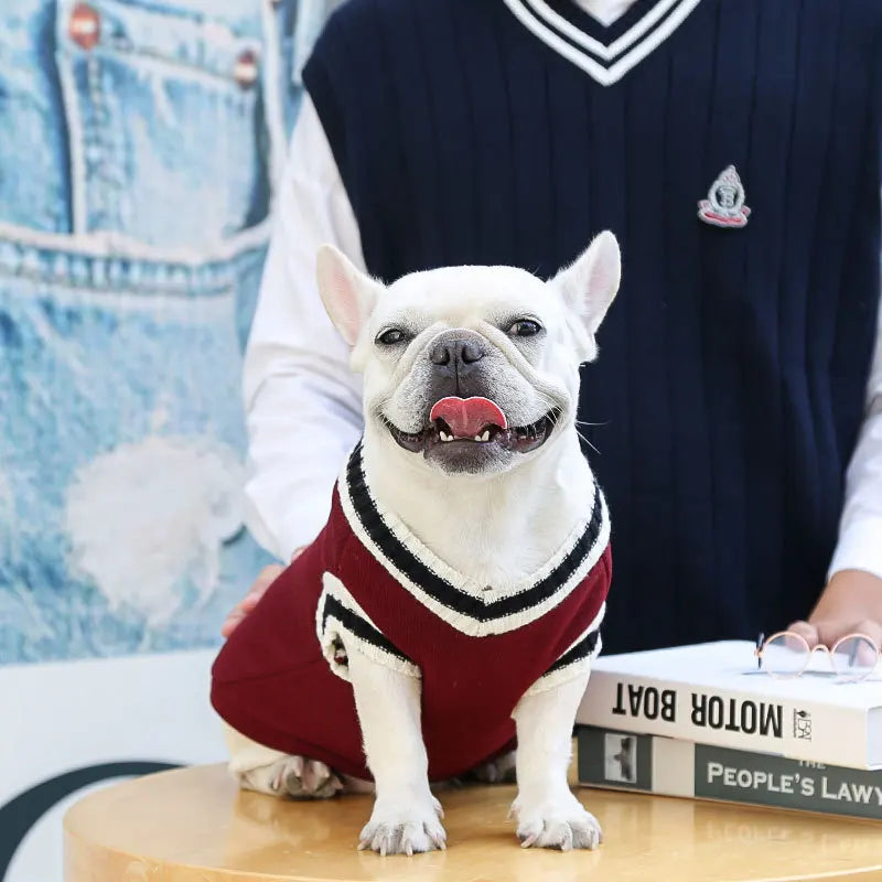 Knitted Sweater