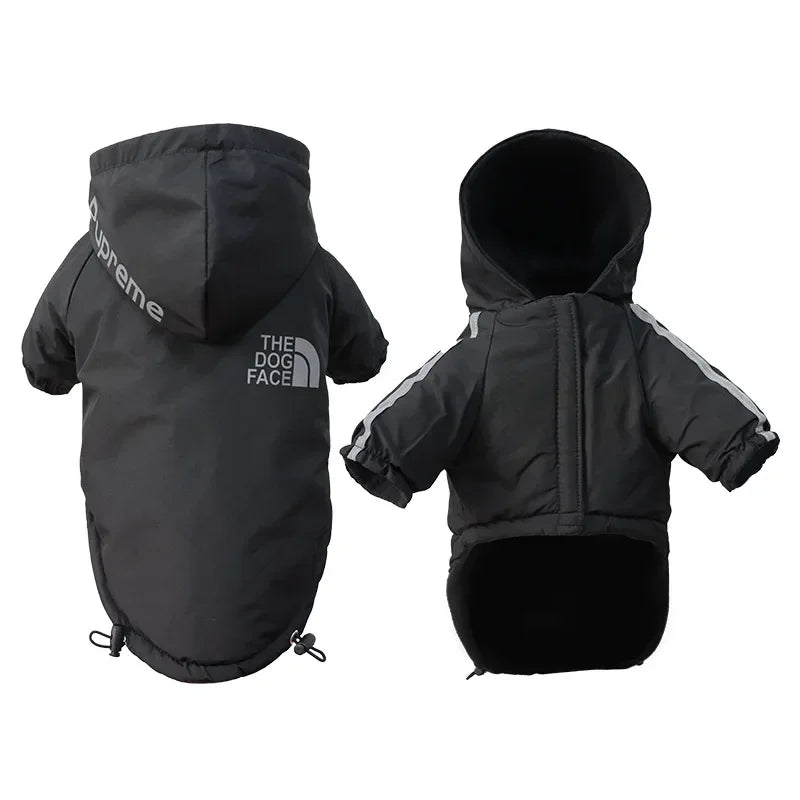 Reflective Hoodie