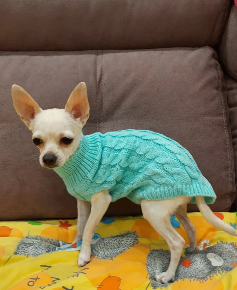 Puppy Dog Sweaters