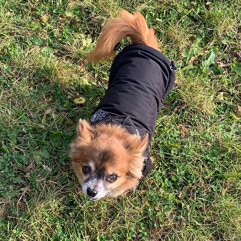 Waterproof Reflective Pet Coat