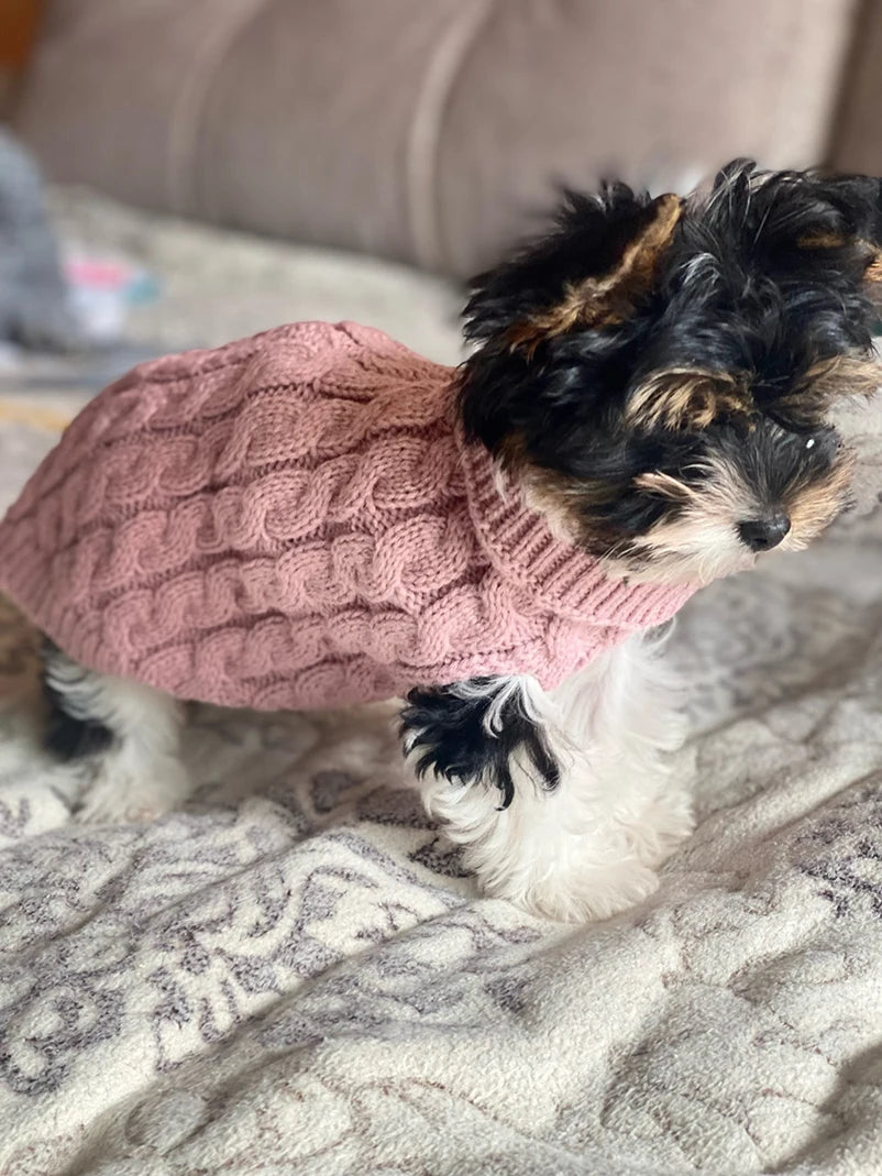 Puppy Dog Sweaters