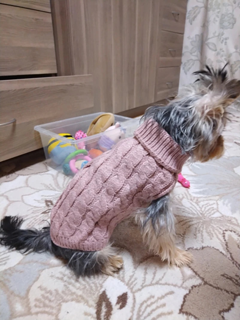 Puppy Dog Sweaters
