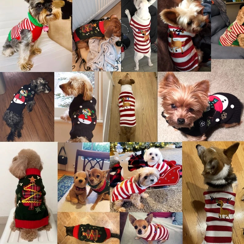 Cute Holiday Sweaters