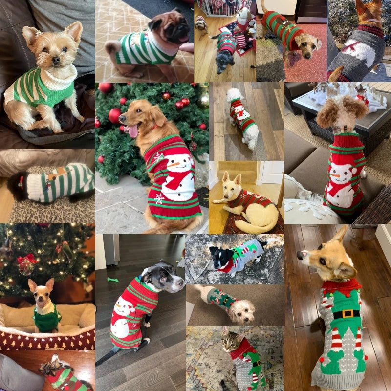 Cute Holiday Sweaters