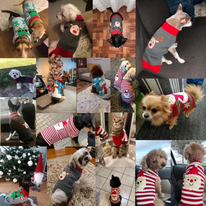 Cute Holiday Sweaters