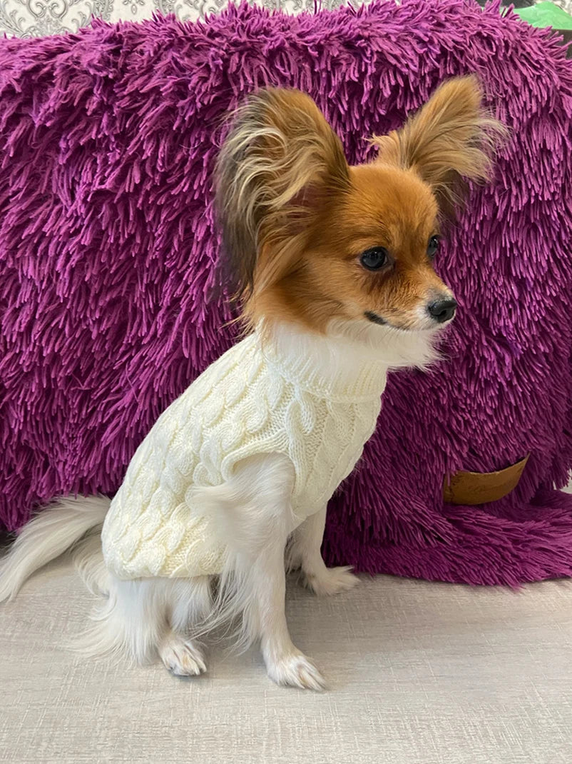 Puppy Dog Sweaters
