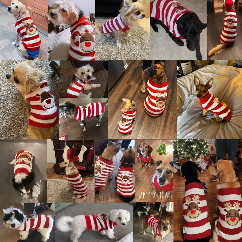 Cute Holiday Sweaters